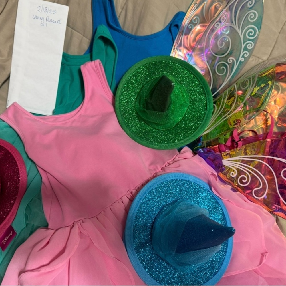 Sleeping Beauty fairy godmothers bundle.